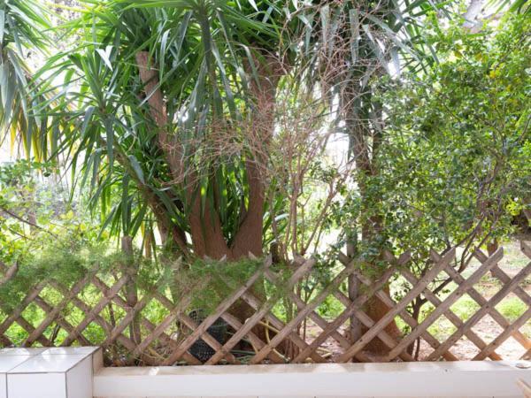 Vouliagmeni'S Secret Garden Near The Sea Apartment Athens Exterior photo